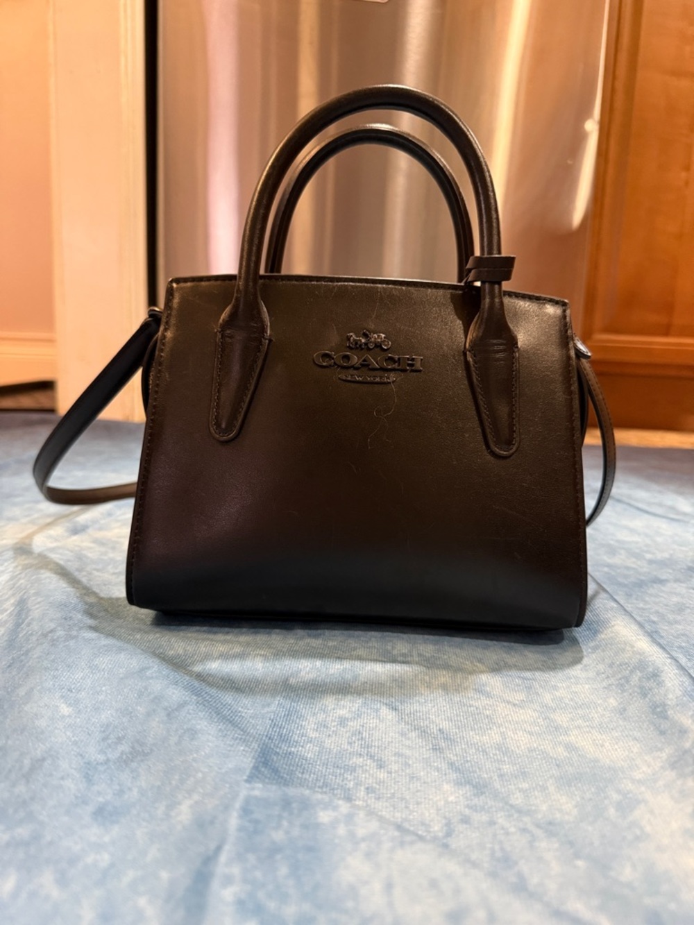 coach andrea carryall